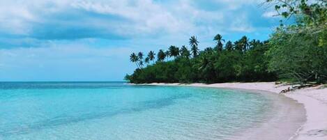 A beach with clear turquoise water, white sand, and a line of palm trees.