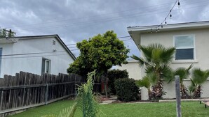 A residential area with a well-maintained lawn, a stone wall, and a wooden fence. - Cozy 2Bed-Private Parking, Dog Friendly, Big Yard! (San Diego)