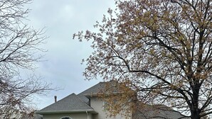 Une maison avec un porche couvert, une pelouse et un arbre.