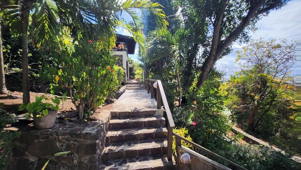 A stone staircase leading to a building surrounded by lush greenery.