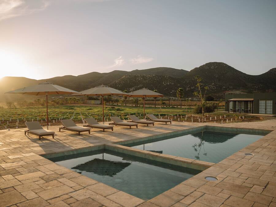 Outdoor pool, pool umbrellas, sun loungers