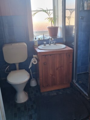 Shower, hair dryer, bidet, towels - Art Deco apartment near Sydney Harbour Bridge, across from harbour-side parkland (Lavender Bay)