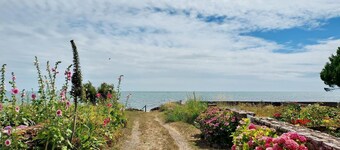 La Grée du Moulin - PEAULE