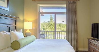 Resort with 1 bedroom, AC & fireplace in phenomenal Boyne Falls