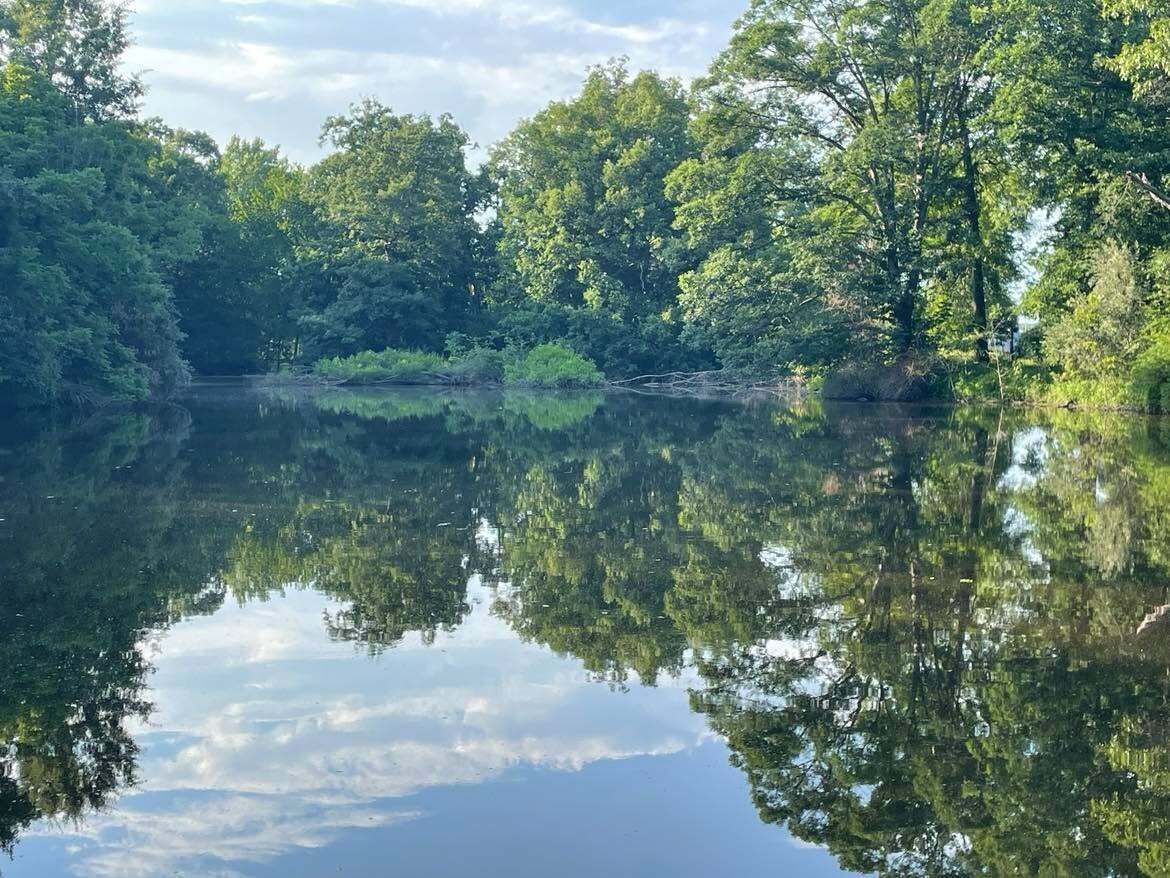 Um lago calmo rodeado por árvores densas.