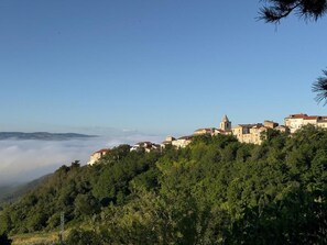 Ein Dorf an einem Hang mit Häusern, einer Kirche und einem bewaldeten Gebiet.