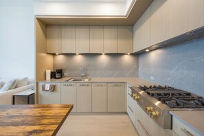 Eine moderne Küche mit eingebautem Gasherd, einer Spüle und einer Arbeitsplatte.