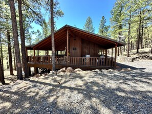 A wooden cabin with a deck, surrounded by trees. - Hike, Bike & Ski, 12 Mi to Slopes: Serene Cabin-Greer, AZ (Greer)