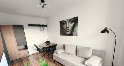 Piotrków Trybunalski Modern Apartment