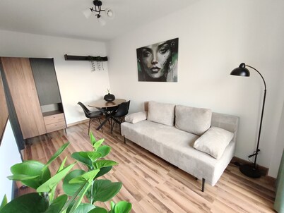 Piotrków Trybunalski Modern Apartment