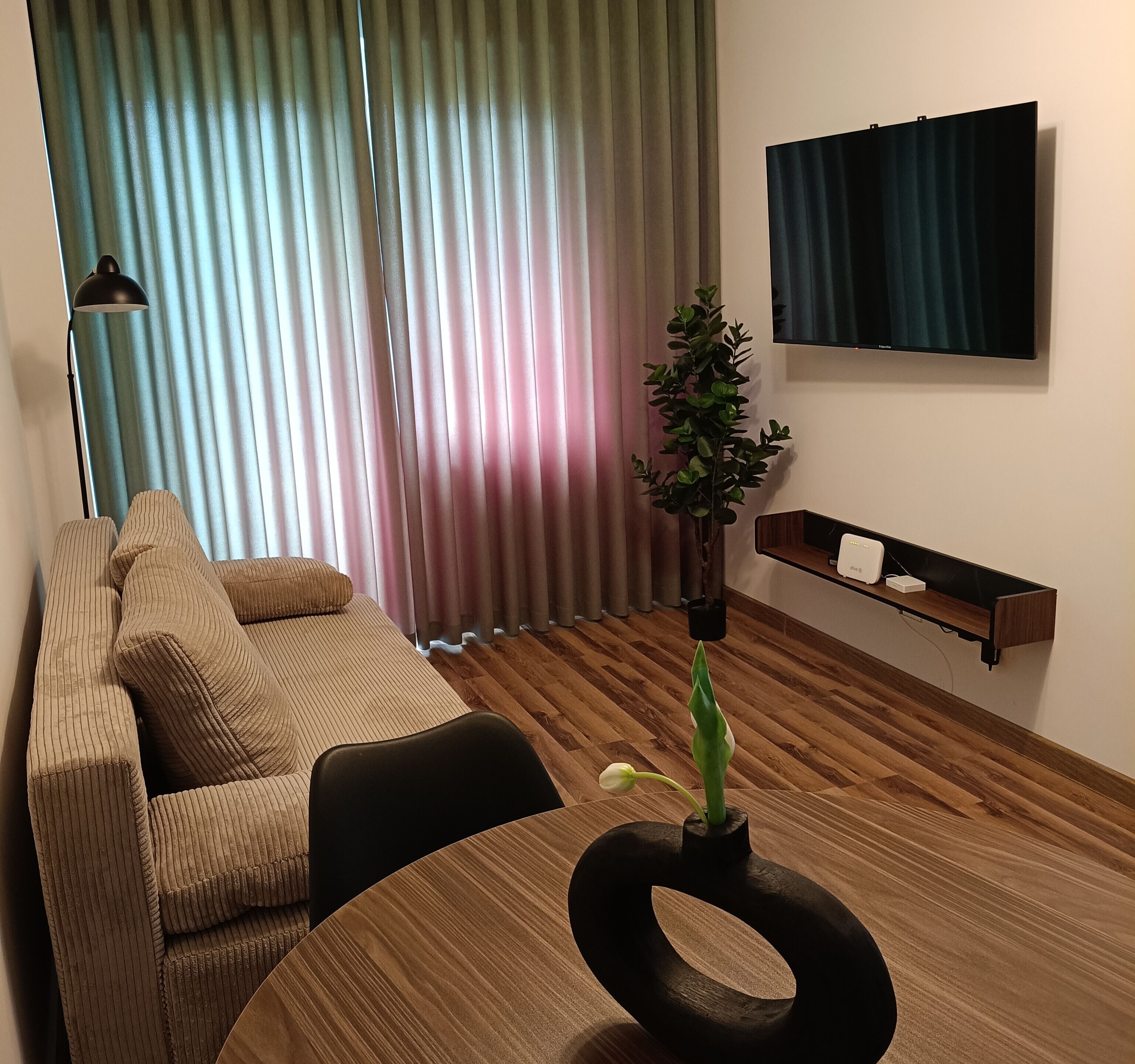TV
