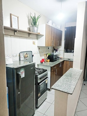 A kitchen with a refrigerator, stove, oven, wooden cabinets, a countertop, and a potted plant. - Charming 1-bedroom Apartment in South B, Nairobi (Nairobi)