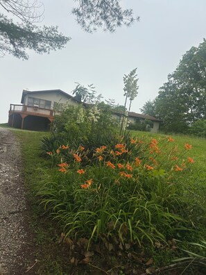 Une maison avec un garage, entourée de verdure et de plantes en fleurs.