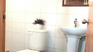 A bathroom with a toilet, a sink, and a potted plant on the wall.