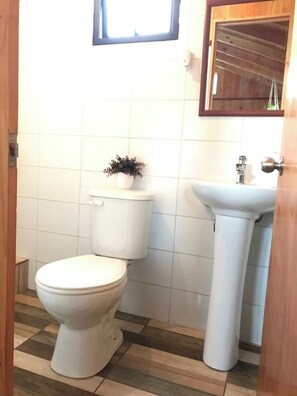 Secador de pelo, toallas, jabón y papel higiénico