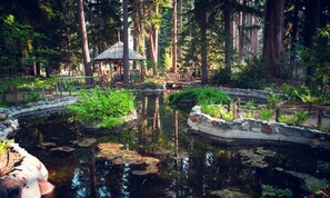 Property grounds - Cabin Close to Fun Beaches, Trails, & Lake Adventures! (El Dorado County)