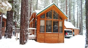 Una cabaña de madera con ventanas amplias, rodeada de árboles cubiertos de nieve.
