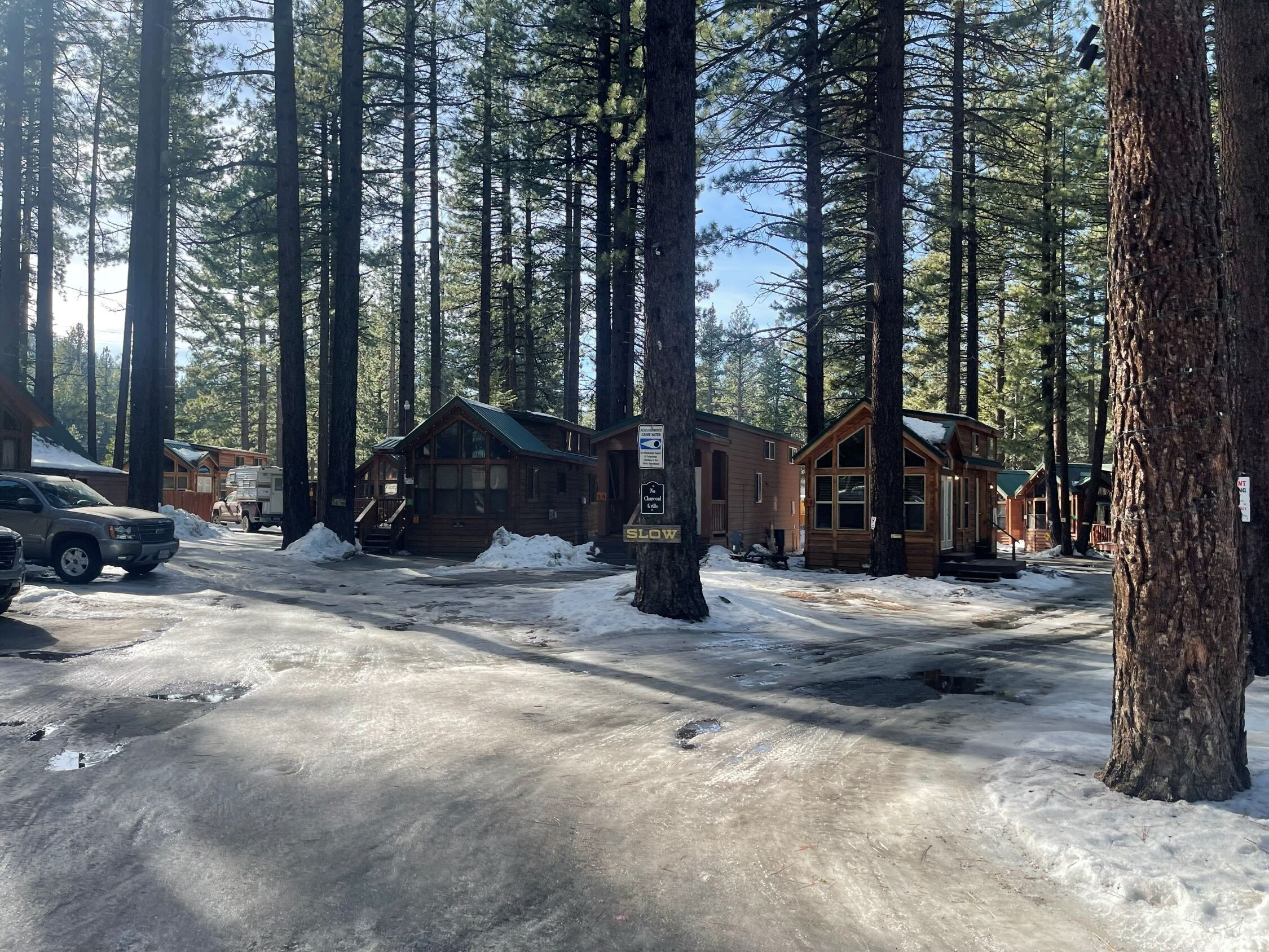 A cabin-style lodging area with multiple wooden cabins, a snow-covered ground, and tall pine trees.