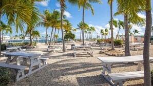A beachside area with palm trees, picnic tables, and a view of the sea. - 2BR, 2BA Cudjoe Key Home with pool, hot tub, and patio. (Cudjoe Key)