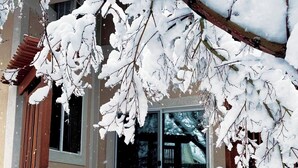 Eine hölzerne Bank unter einem mit Schnee bedeckten Baum vor einem Gebäude mit einer steinernen Fassade und großen Fenstern.
