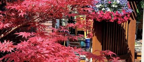 A garden with red foliage and a wooden structure.