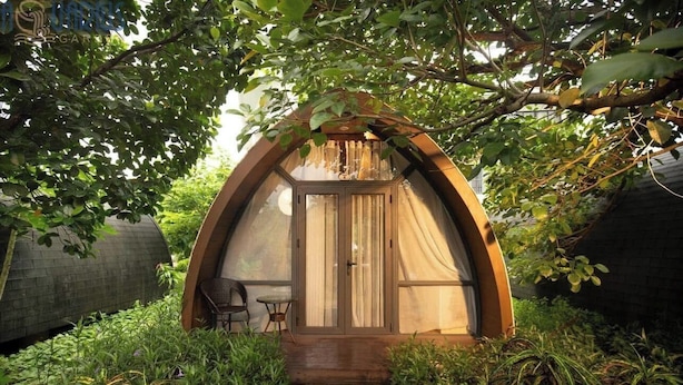 A small, enclosed structure with a wooden door and a window, surrounded by greenery.