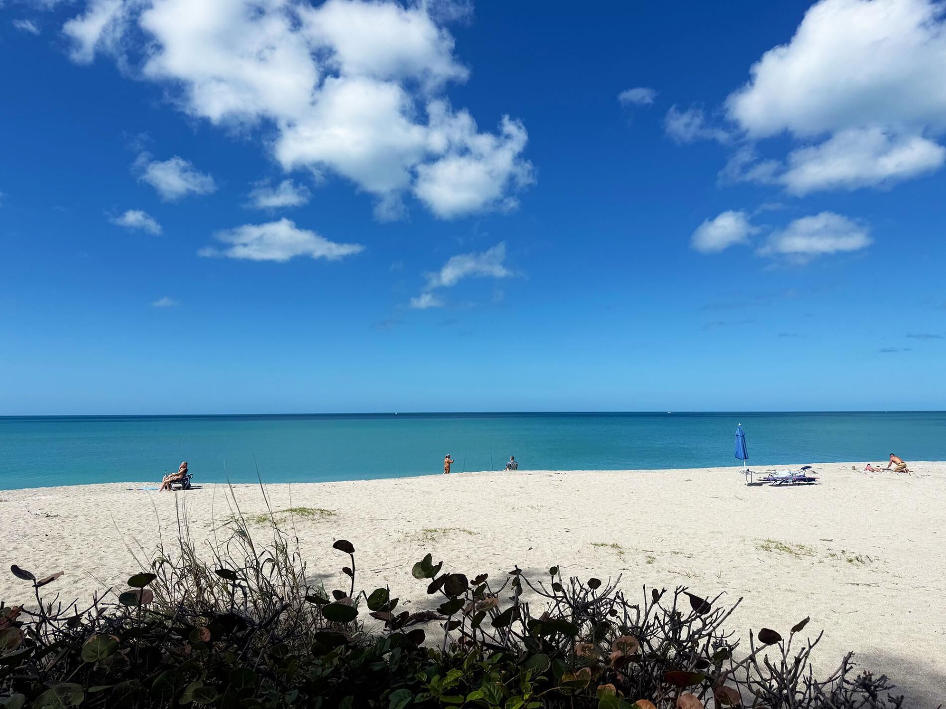 Une plage avec un ciel dégagé, une mer calme et une végétation clairsemée au premier plan.