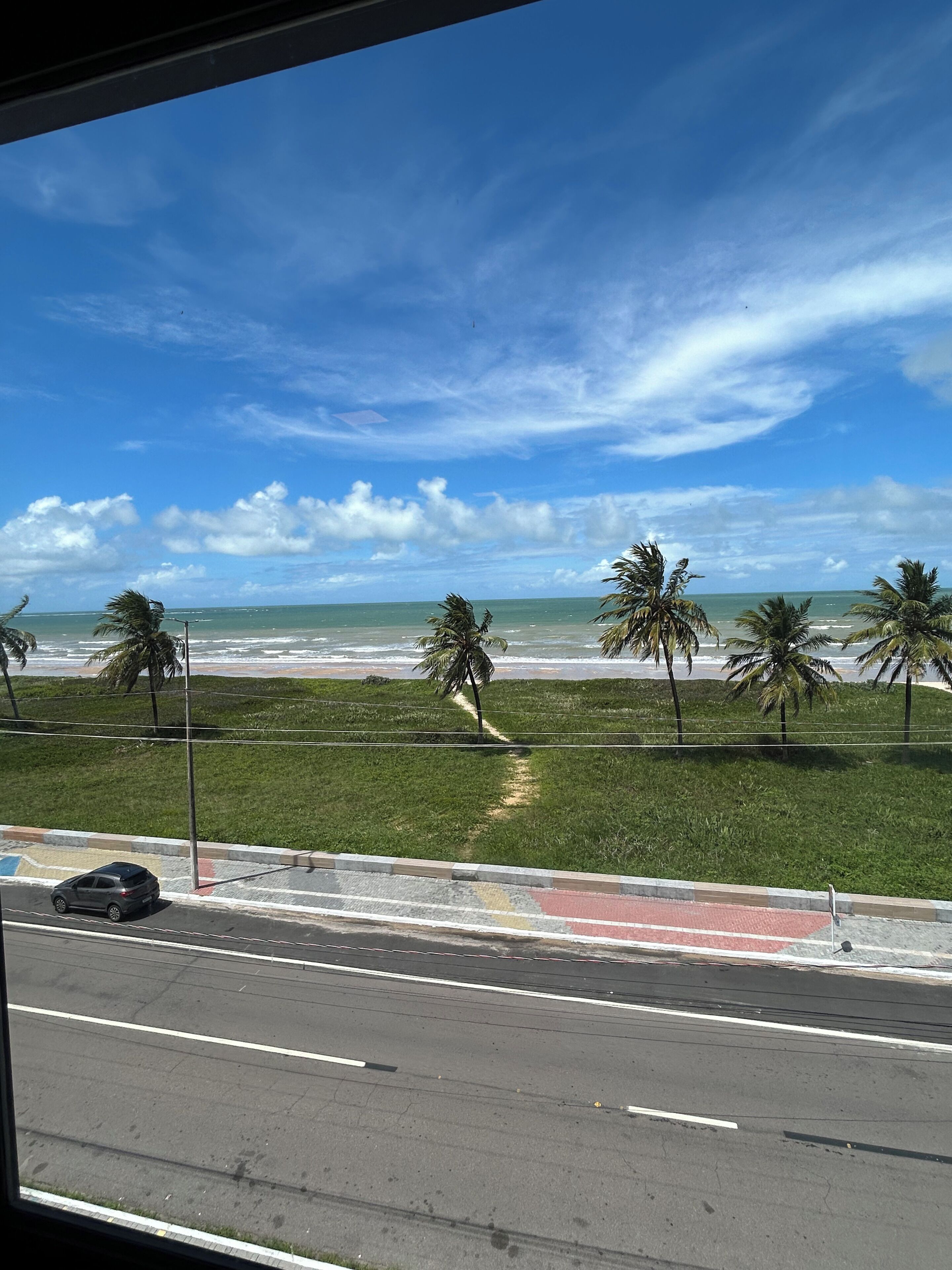 Vista de una playa con palmeras, una carretera y cielo despejado.