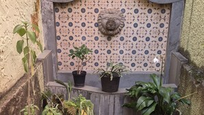Um pátio com plantas em vasos, um muro de azulejos e um banco de pedra.