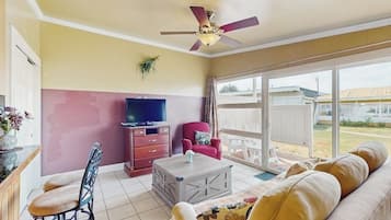 Televisión, chimenea, reproductor de DVD y tenis de mesa
