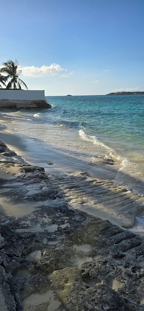 A beach with clear water, a palm tree, and a distant shoreline. - Paradise at one cable beach (Nassau)