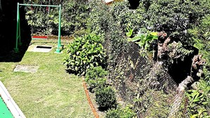 Un jardín con un columpio, una cerca de malla y diversas plantas.