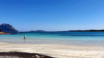 Una spiaggia nelle vicinanze