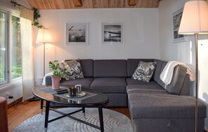Fernseher, Kamin