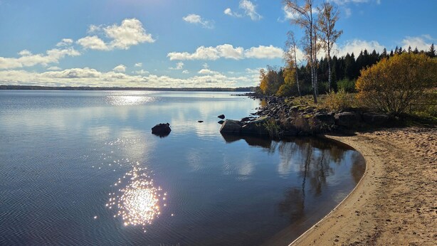 En stilla sjö med en sandstrand och träd i bakgrunden.
