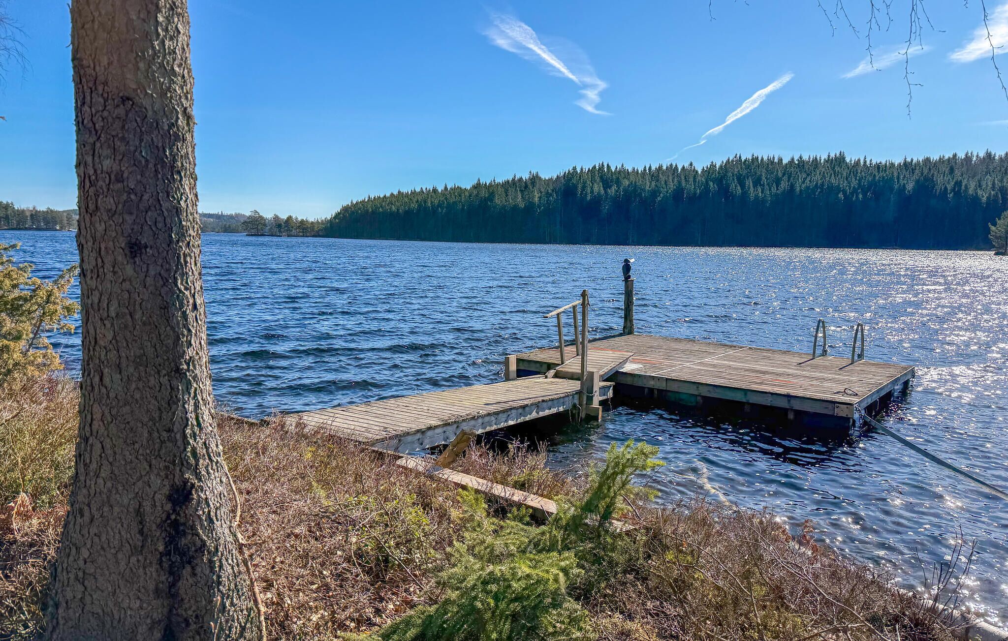 A wooden dock extending into a calm lake, surrounded by trees and a forested hill.