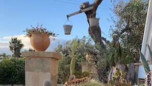 Un jardín con diversos cactus y suculentas, una maceta de piedra y un árbol con cubos colgantes.