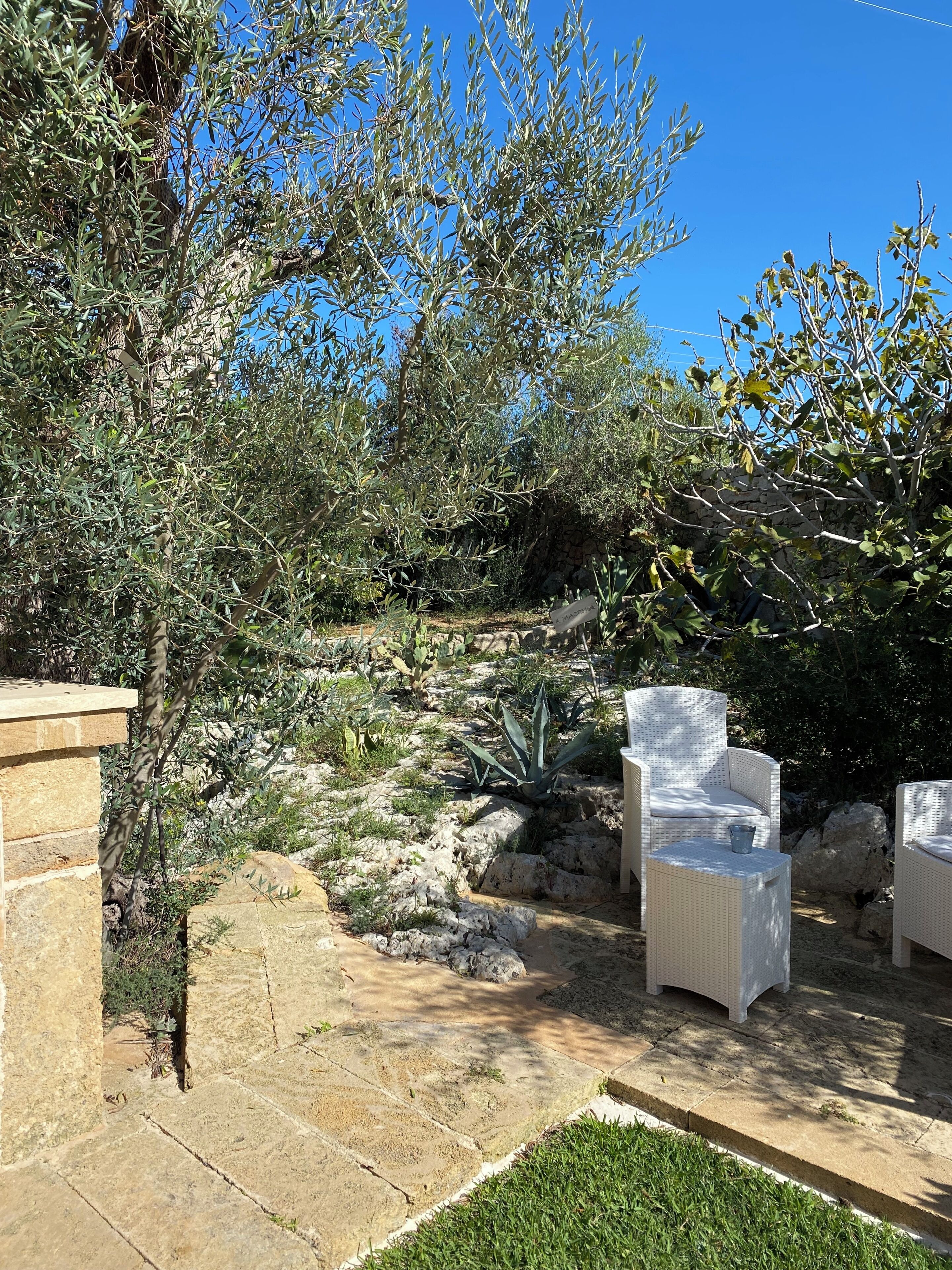 Terras