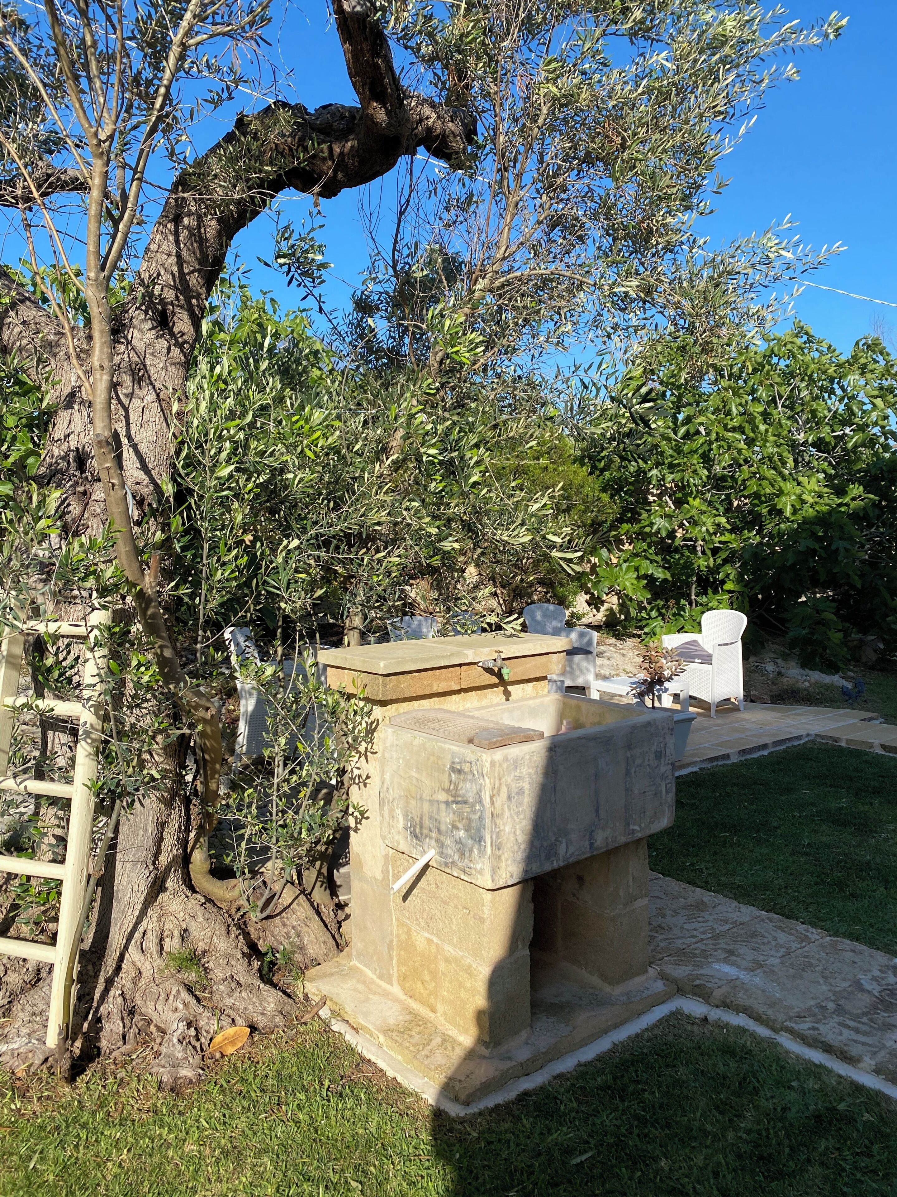 A stone bench with a metal table, surrounded by greenery and a tree.