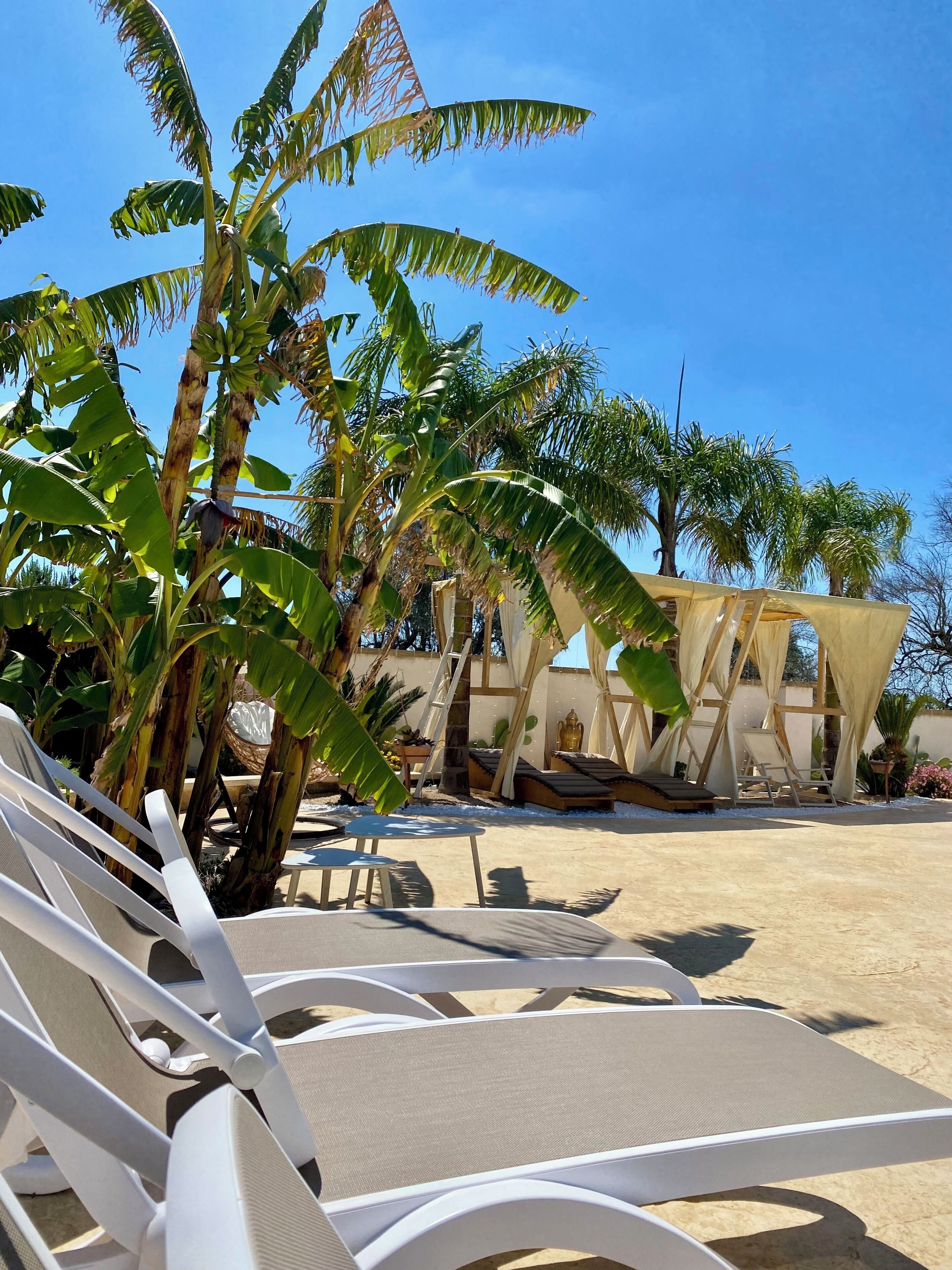 Terraza o patio