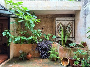Property grounds - Mediterranean house near Barcelona (Canet de Mar)