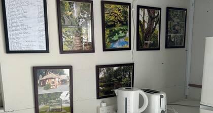 Most Affordable Guesthouse in Hamilton?