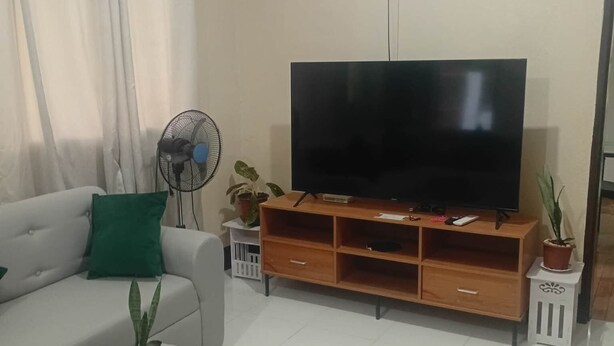A living room with a sofa, a coffee table with a plant, a TV on a wooden stand, and a fan.