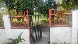 A gated entrance with a black gate, potted plants, and a concrete pathway.