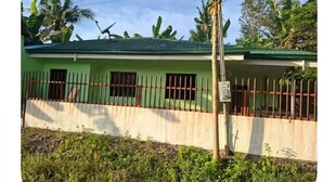 A building with a green roof, barred windows, and a white wall.