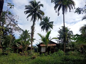 Exterior - Charming Cabin Retreat in Buenaventura with Garden & BBQ (Buenaventura)