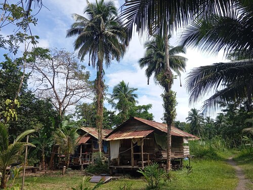 Charming Cabin Retreat in Buenaventura with Garden & BBQ