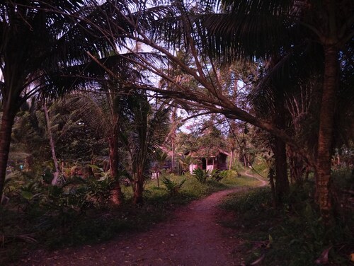 Charming Cabin Retreat in Buenaventura with Garden & BBQ