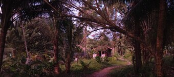Charming Cabin Retreat in Buenaventura with Garden & BBQ