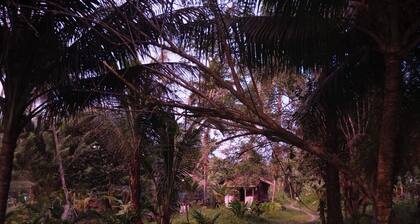 Charming Cabin Retreat in Buenaventura with Garden & BBQ